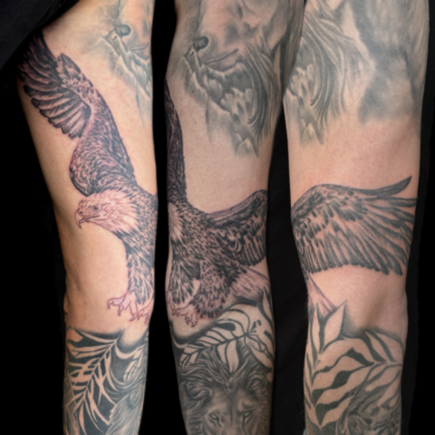 Tattoo Herco